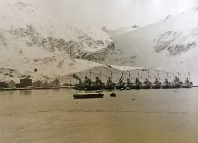 south georgia whaling 1947, 1948