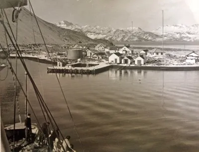 south georgia whaling 1947, 1948