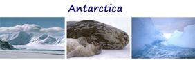 3 Antarctic Pictures  - Set 2