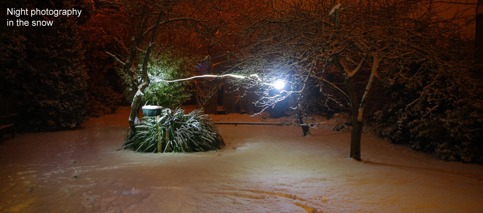 night photographs in the snow
