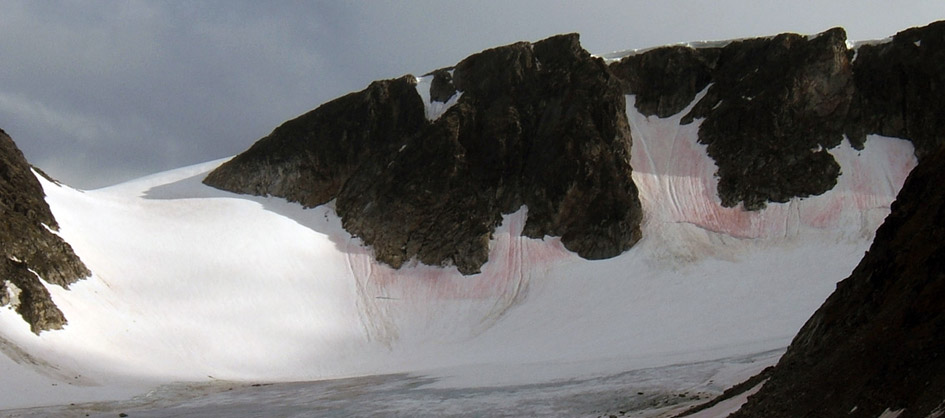 svalbard arctic